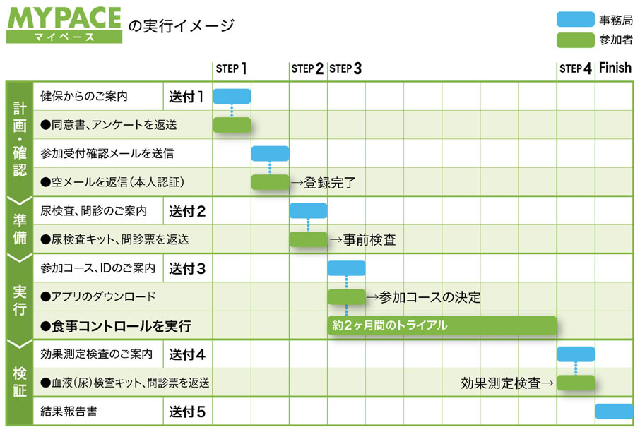 mypaceの実行イメージ